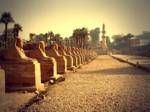 Karnak & Luxor Temples Tour