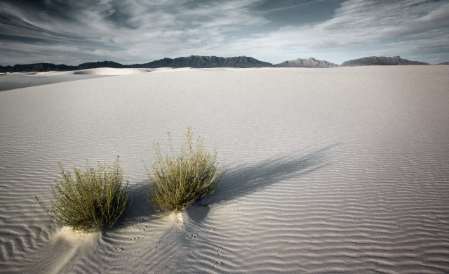 Siwa Oasis Escape: 4 Days of Ancient Mysteries, Golden Deserts & Magical Salt Lakes from Cairo