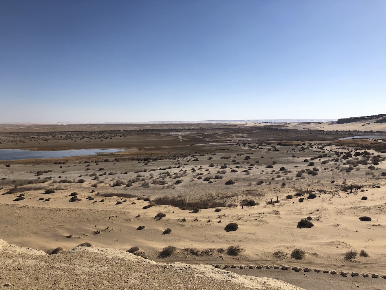Fayoum Heritage & Dunes: Wadi Al-Hitan, Magic Lake & Tunis Village Excursion